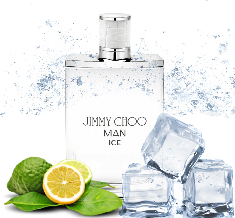 Купить духи JIMMY CHOO MAN ICE edt (m) Мужская Туалетная Вода в Парфюм-Про